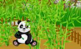 Panda Wild Farm