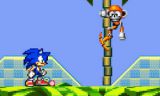 Ultimate Flash Sonic